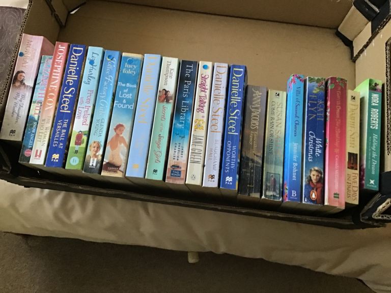 Job Lot: 20+ Fiction Books - Danielle Steel, Nora Roberts & others