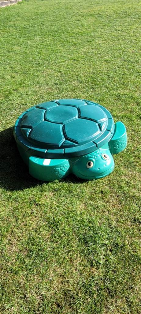 Tortoise sand/water pit
