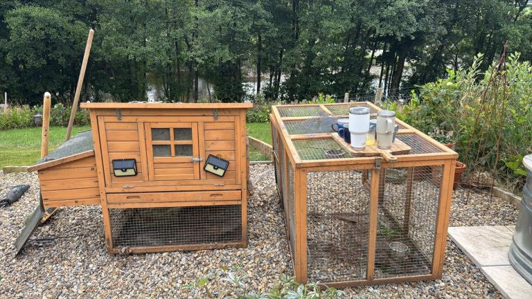 Chicken coop and enclosed run
