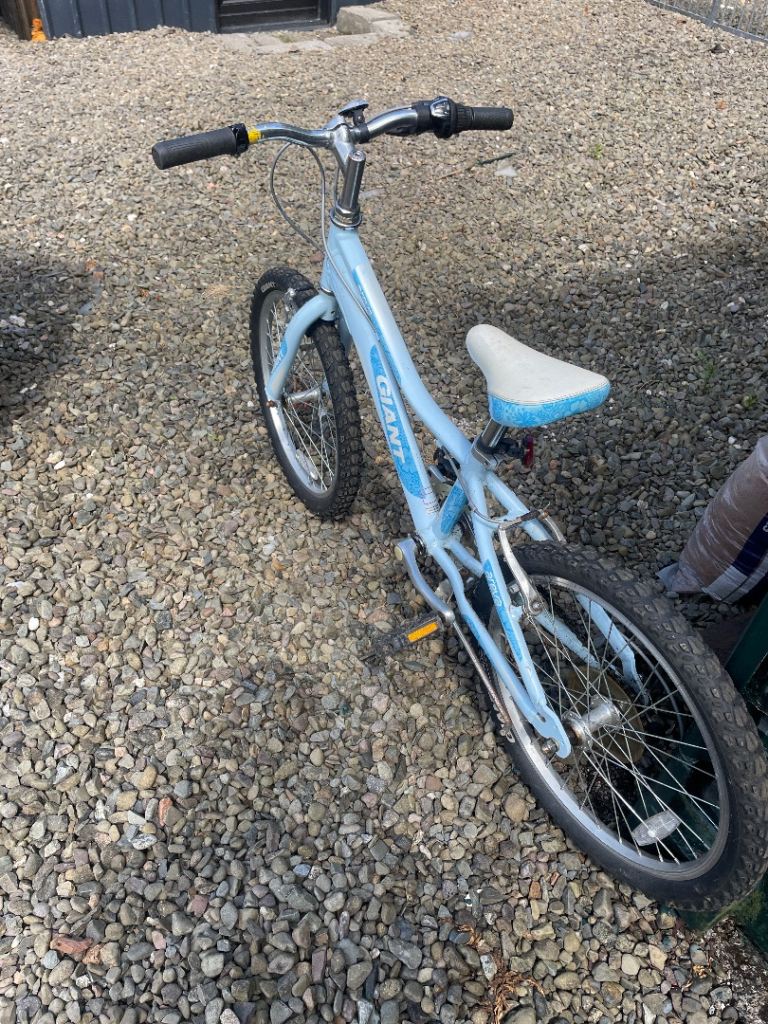 Giant Kids' Bike – Light Blue, Good Condition