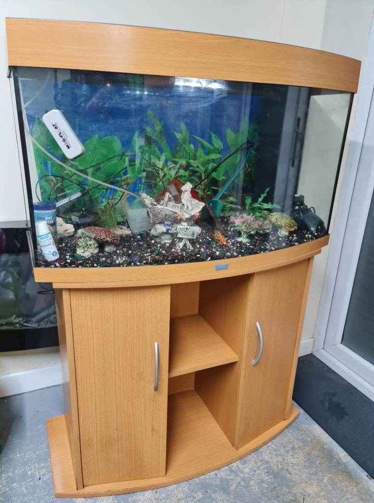Fish tank complete deliver available, £180