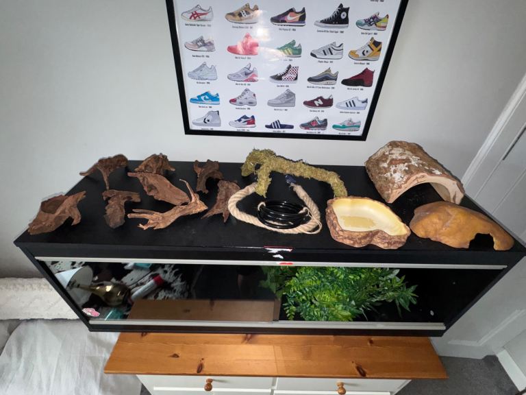 Complete Snake / Reptile Vivarium Setup For Sale