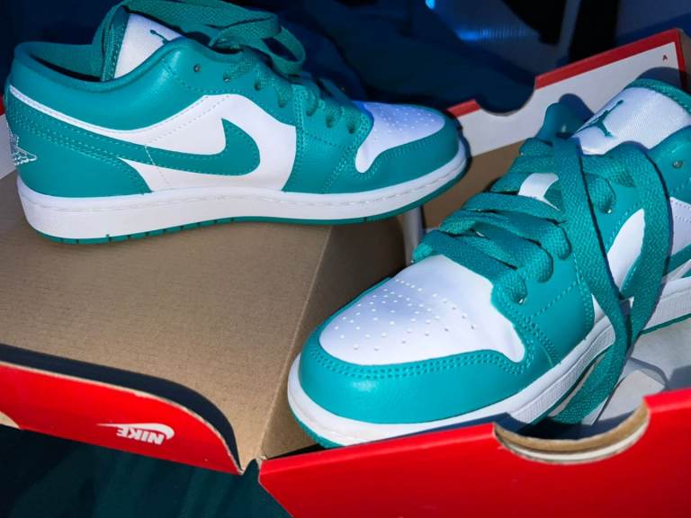 image for NIKE DUNKS LOWES