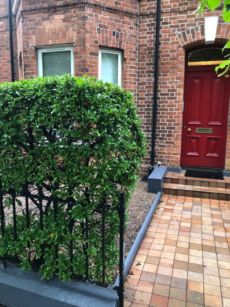 2 Bed Apartment For Rent Eglantine Avenue, South Belfast
