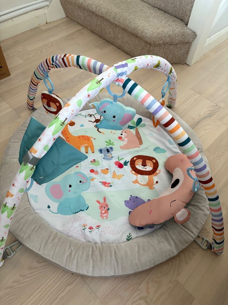 Baby play mat / gym