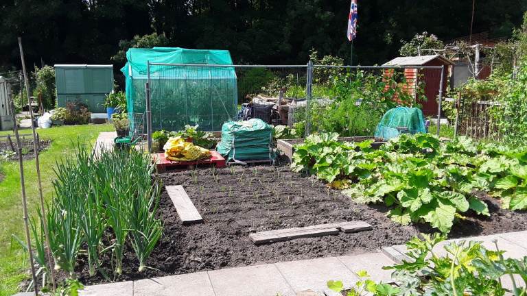 WANTED SCAFFOLD PLANKS/BOARDS 