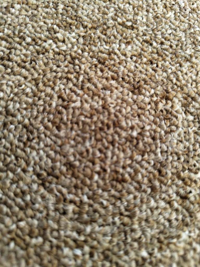 Forbo basis malt