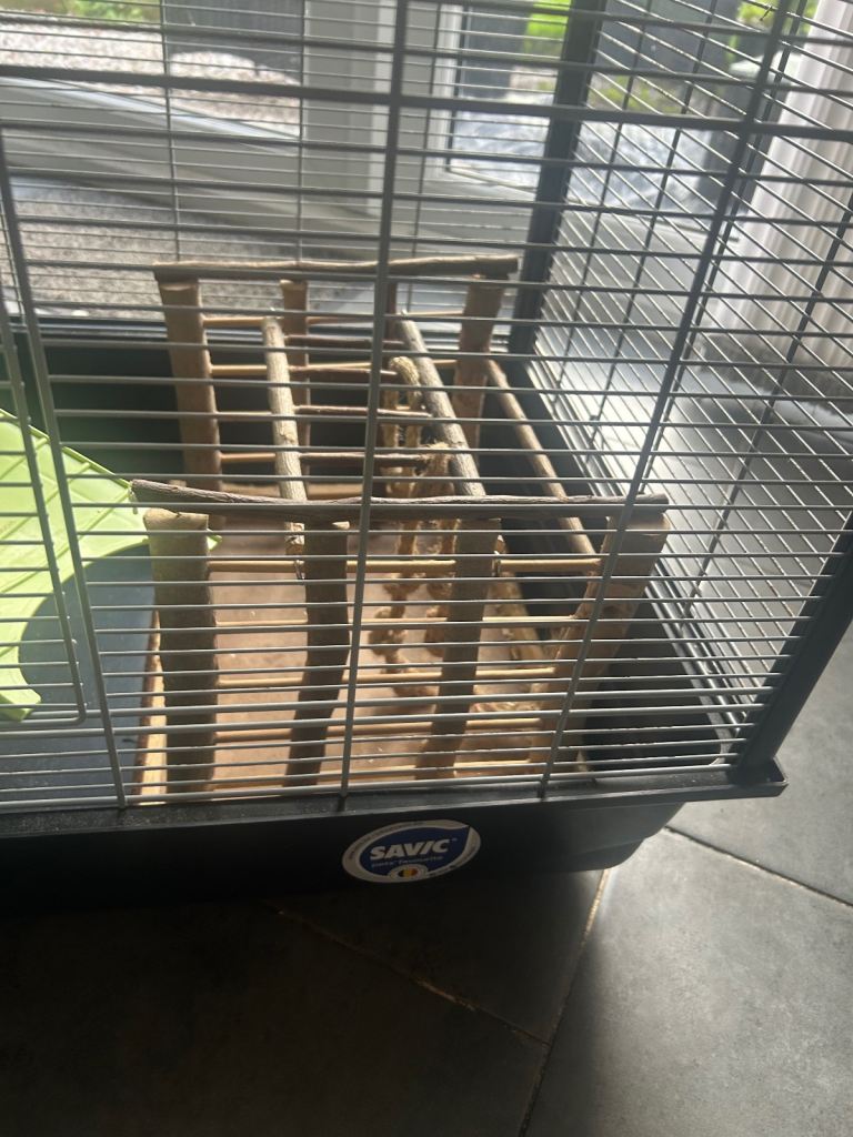 Hamster Cage and Accessories 