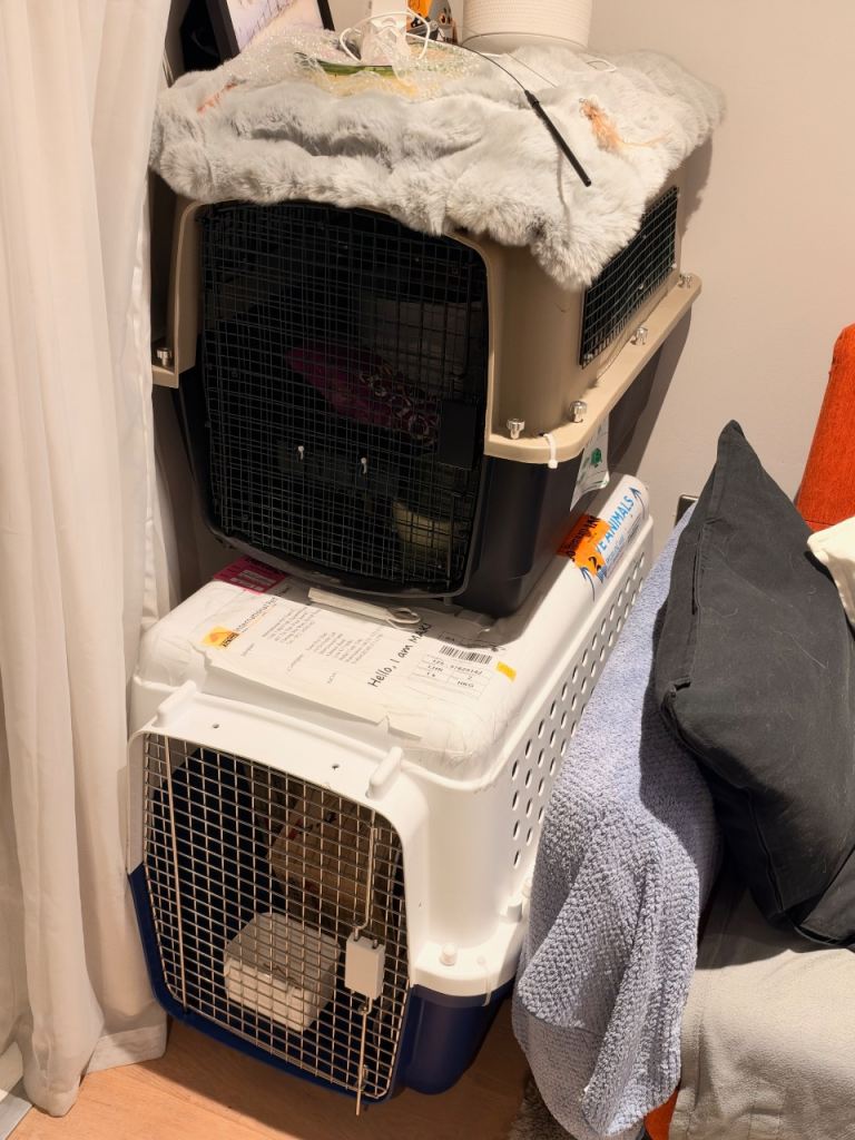 Two XL air kennel pet carrier IATA Approved 