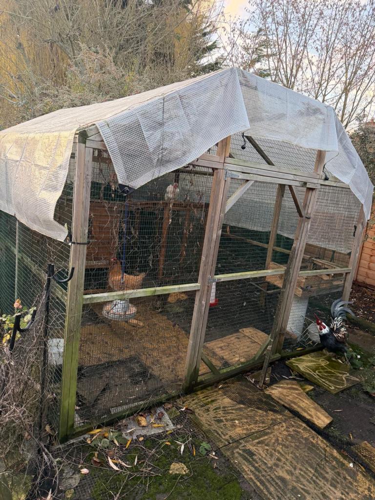 image for Chicken coop for Sale