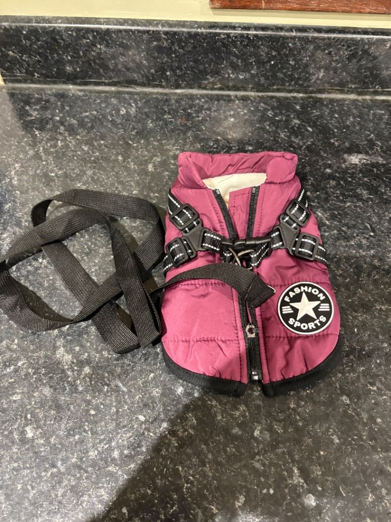 Dog Harness Winter Coat & Leash – Small Size, Burgundy