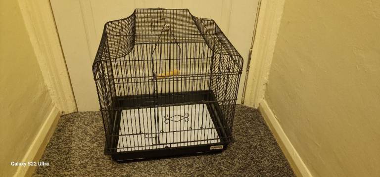 Birds  cage