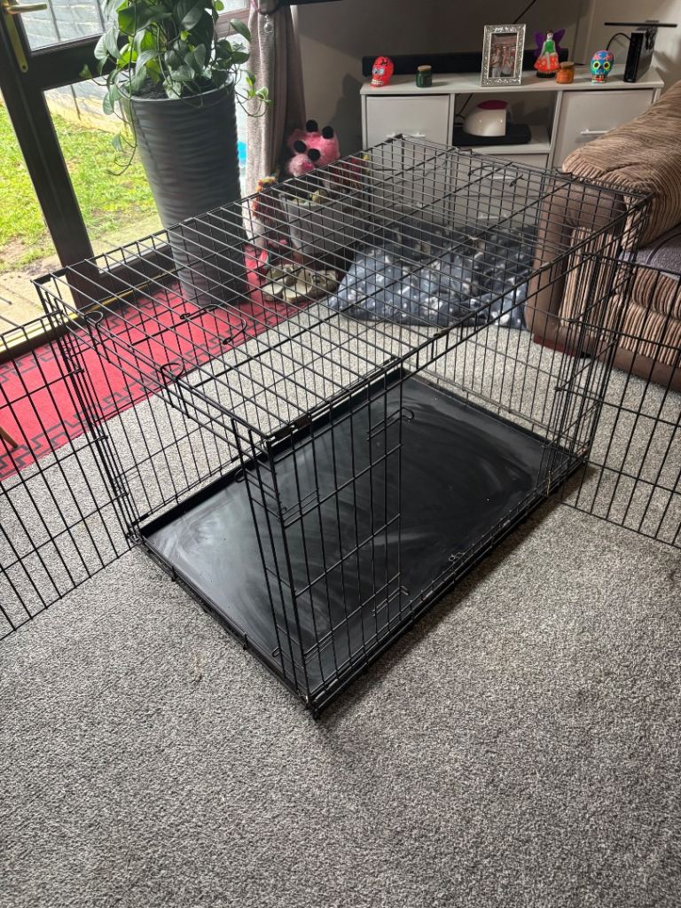 XL dog crate 