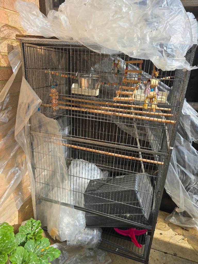 Parrot cage 