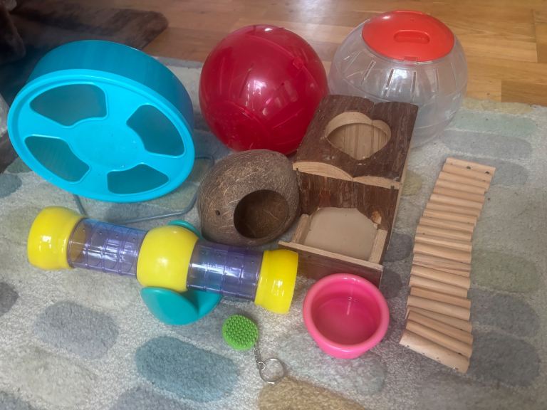 Hamster bundle