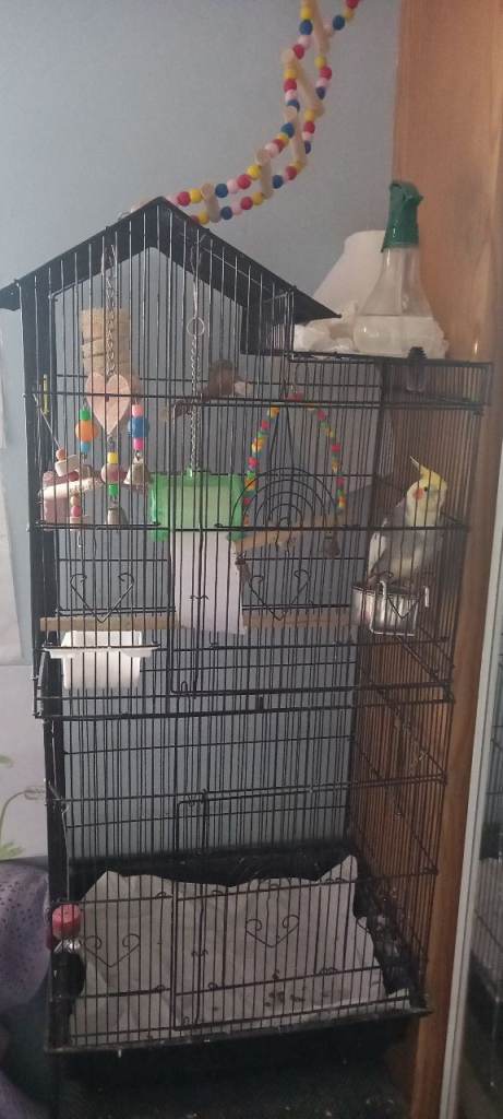 Bird cage long and tall