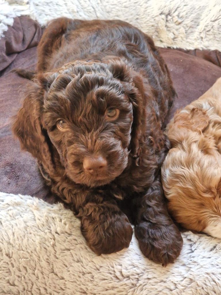 Ready Now -  Last boy 💙