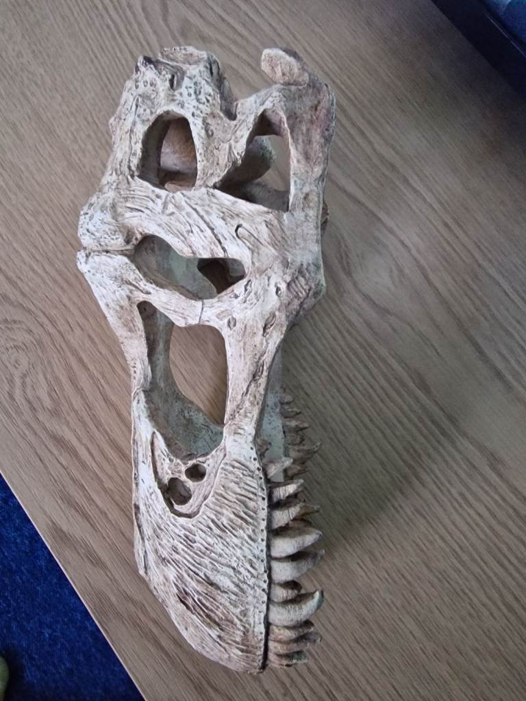 Medium Dinosaur Skull Hide – Ideal for Gecko, Corn Snake or Juvenile Bearded Dragon