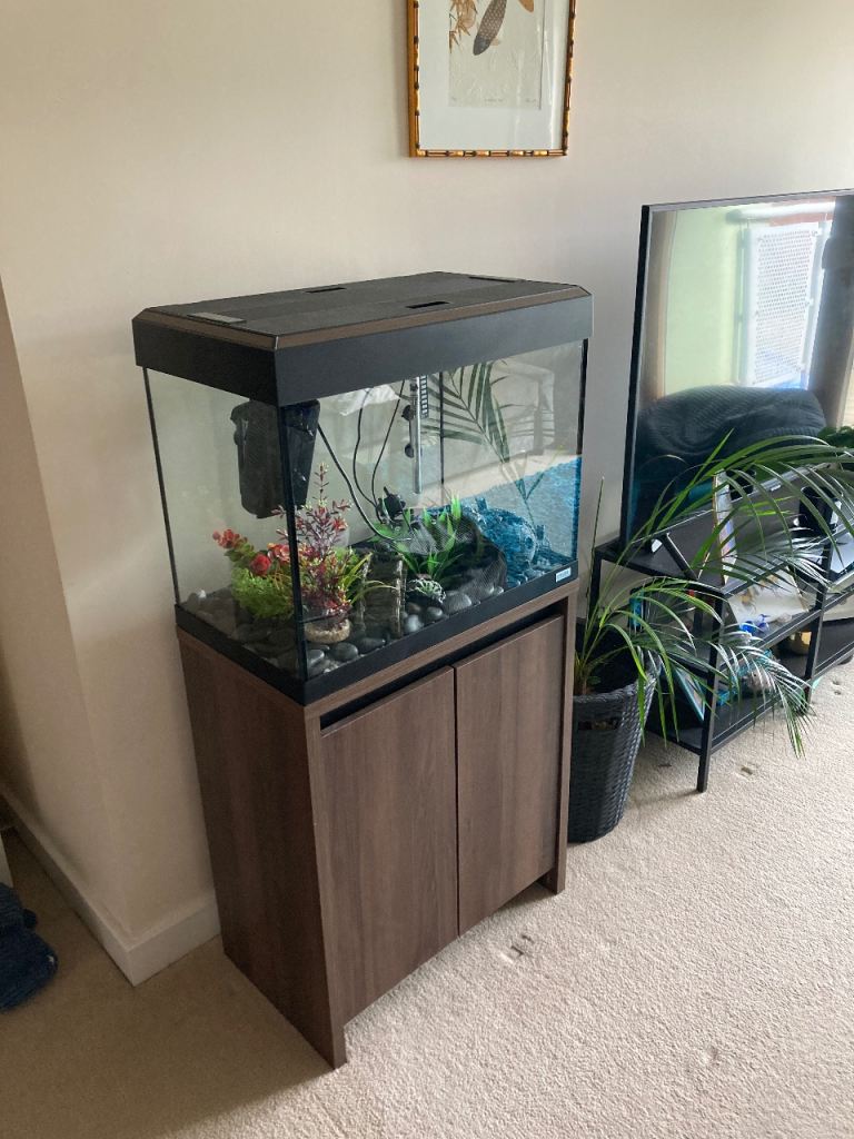 Fluval ROMA 90 Tank - 2x Plecos (READ DESCRIPTION)