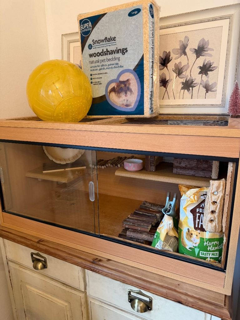 image for FREE small pet home and accessories - housed a Syrian Hamster 