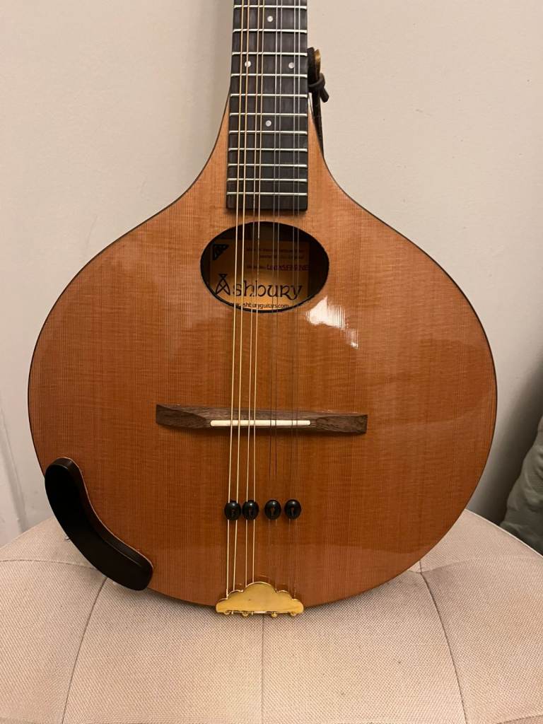 Beautiful 'F De Mureda' Antique (1900s) Bowl Back Mandolin