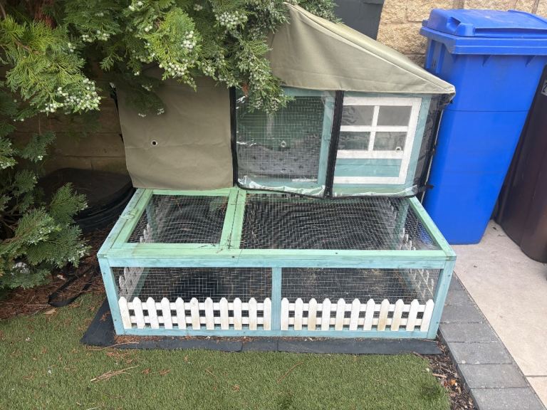 Rabbit/ Guinea pig hutch