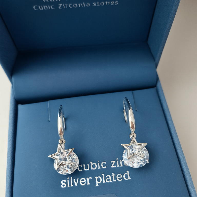 Earnings - Christmas gift