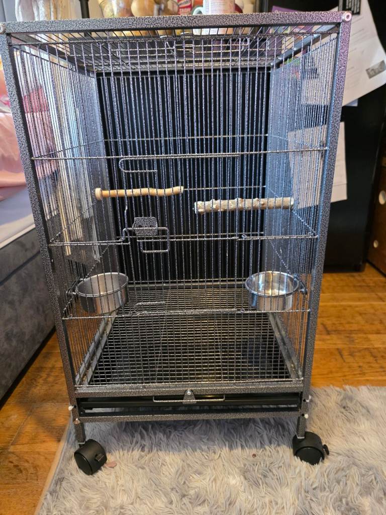 Bird cage 
