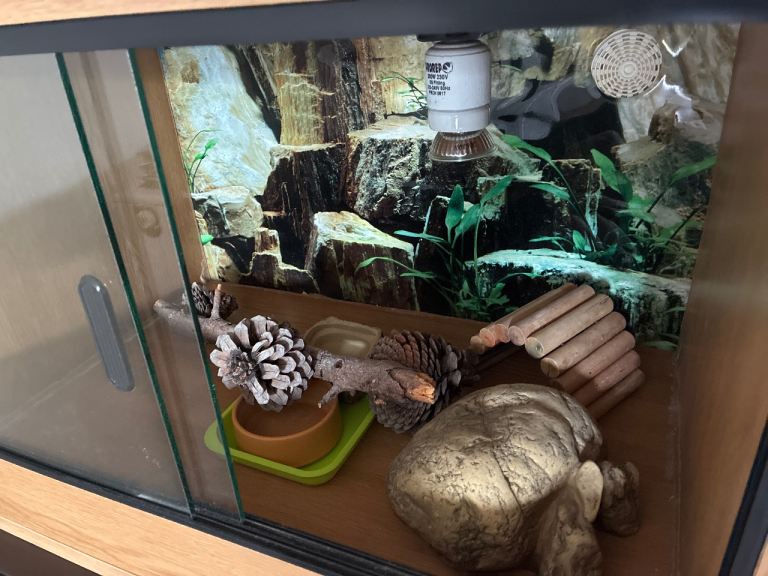 Terrarium 