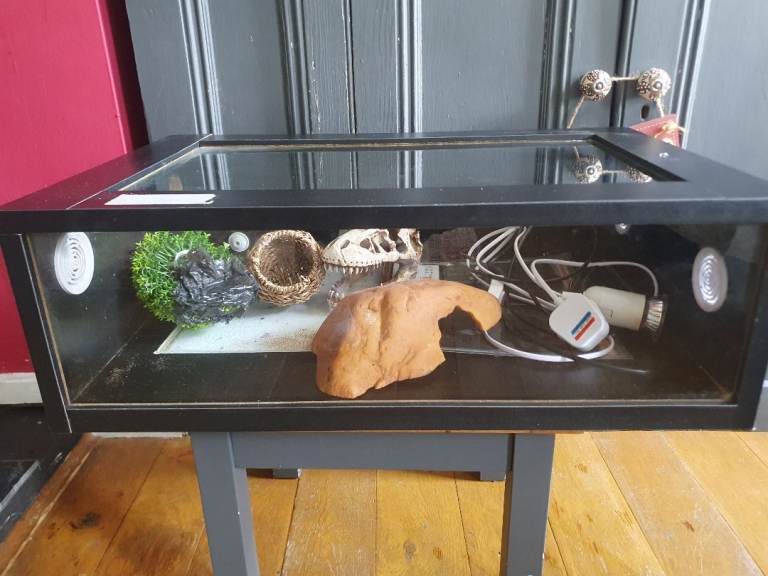 Reptile tank for sale