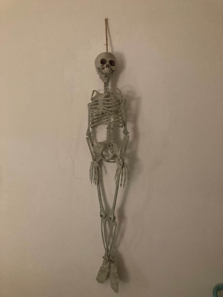 Halloween skeleton