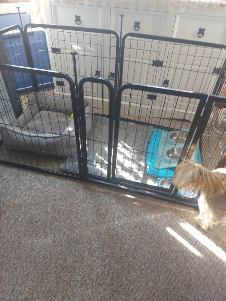 Solid dog pen