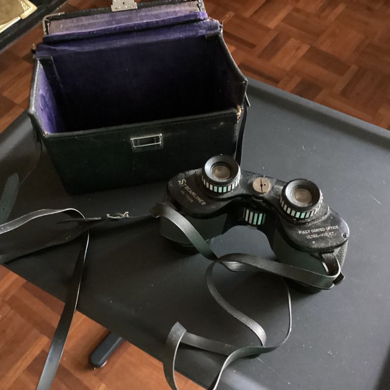 Vintage Streamliner Binoculars No. 7009 with Case