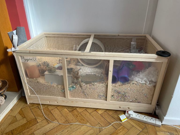 2 month old hamster, cage and accessories 