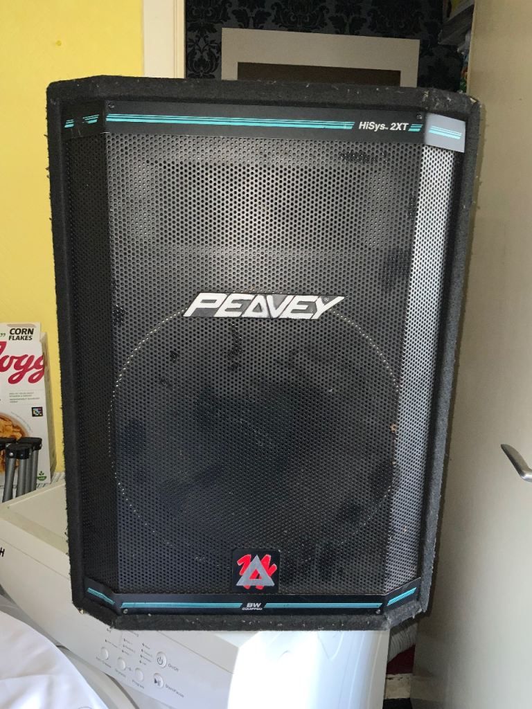 Peavey Hisys Speakers + Bass Bins.