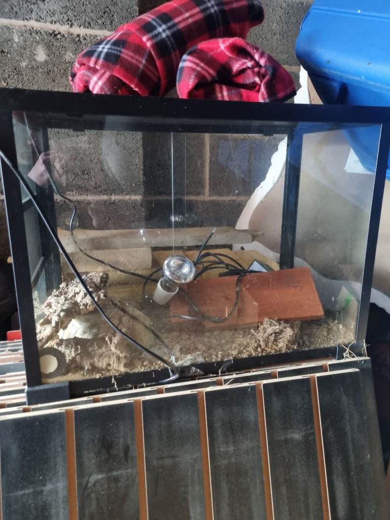 Small vivarium