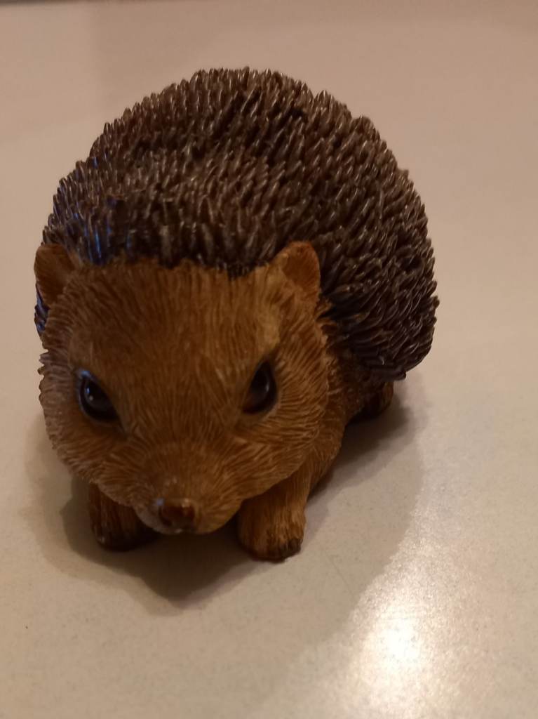 Ornamental hedgehog 