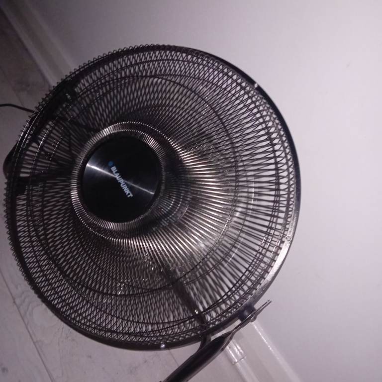 Large fan