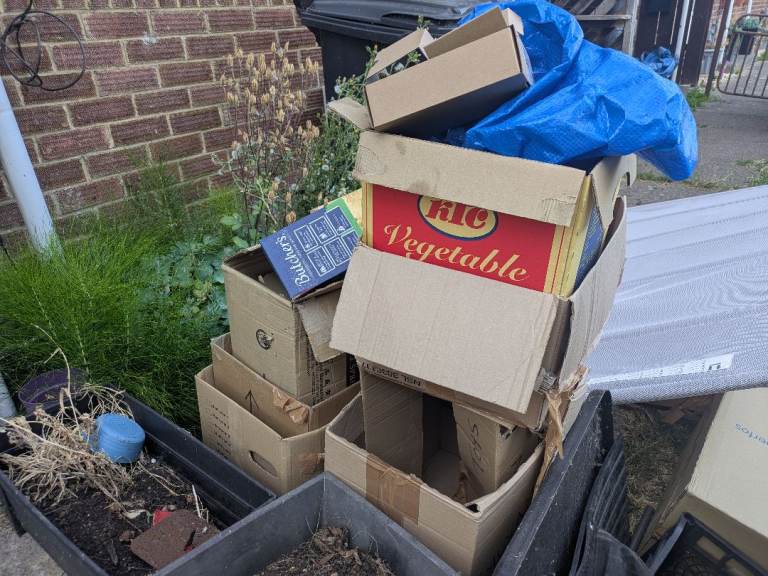 Used Cardboard Boxes, various sizes