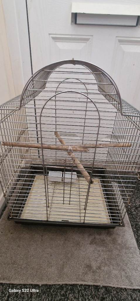 Birds Cage