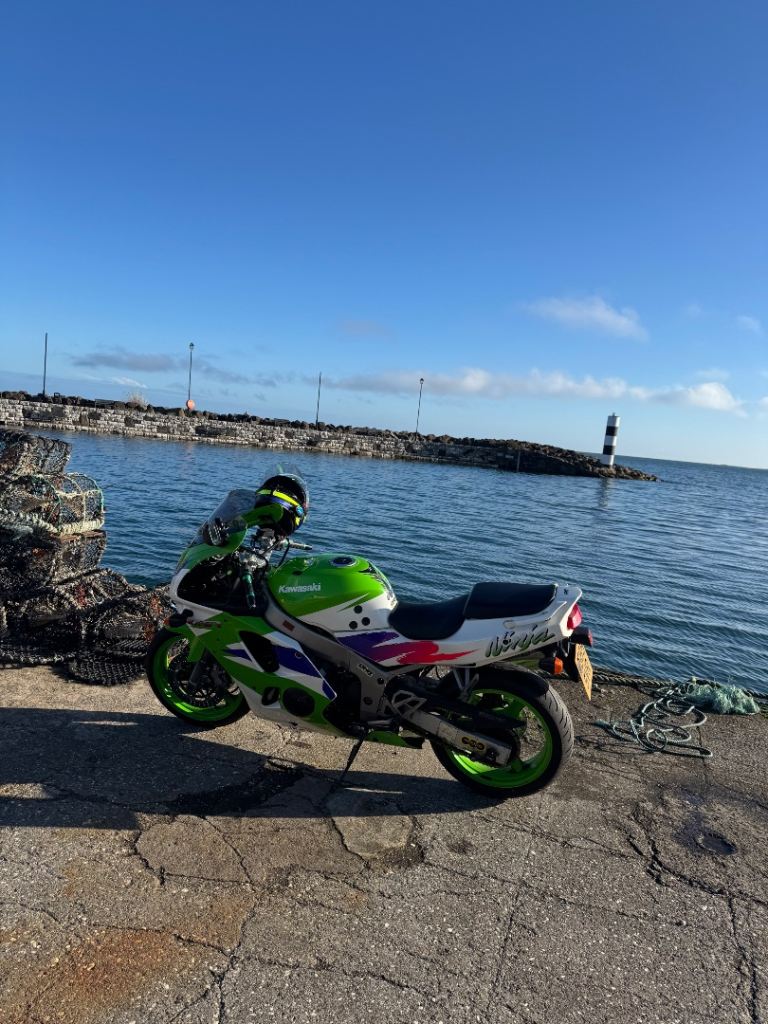 Kawasaki, Ninja ZX 6, 1995, 599 (cc)