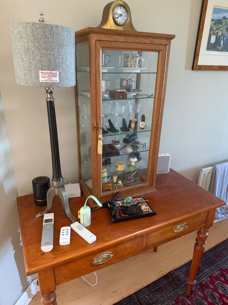 Wooden Display Cabinet with Glass Door and Shelves