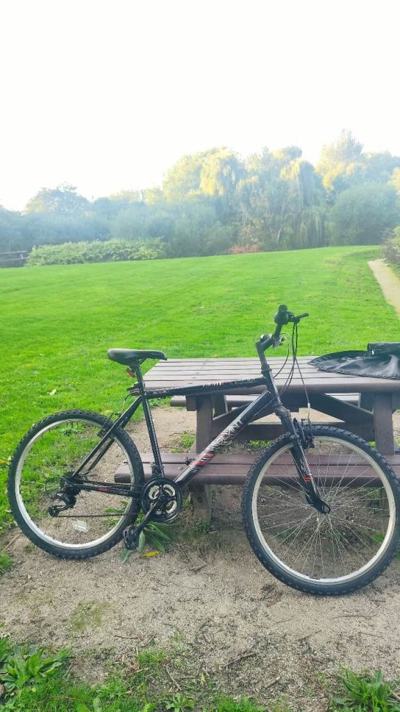 Black Mountain Bike - Good Condition, Ready to Ride