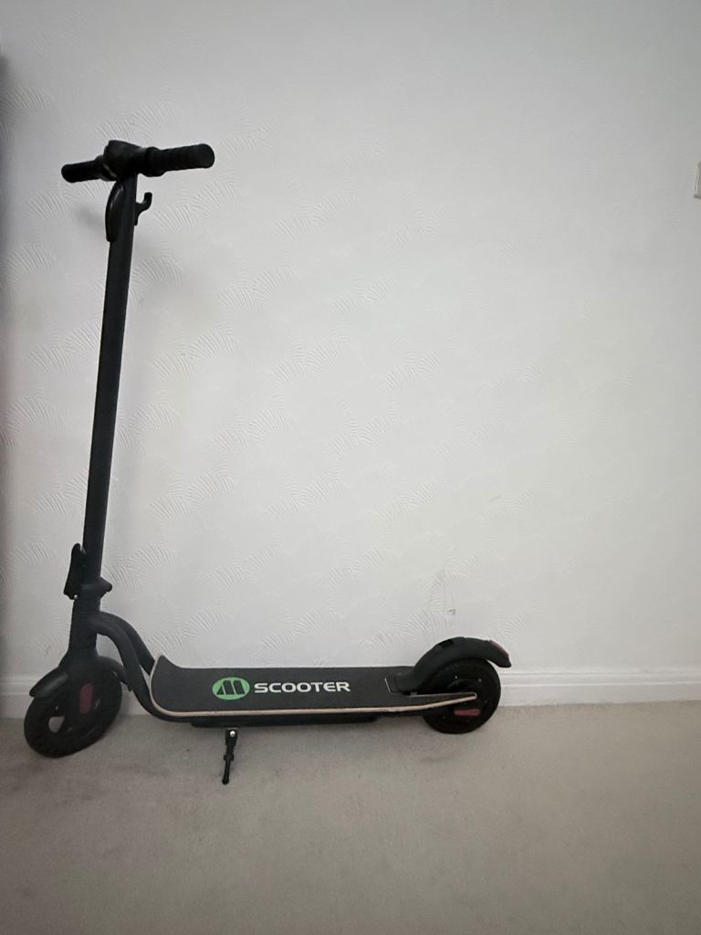 Electric scooter s10