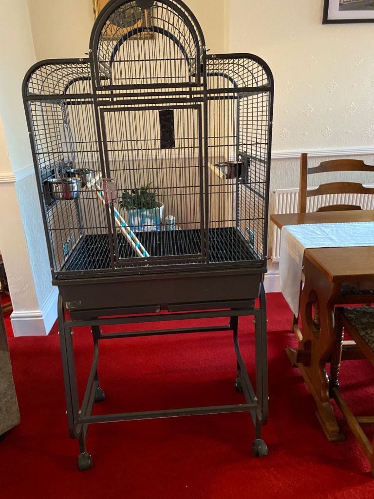 Large bird cage