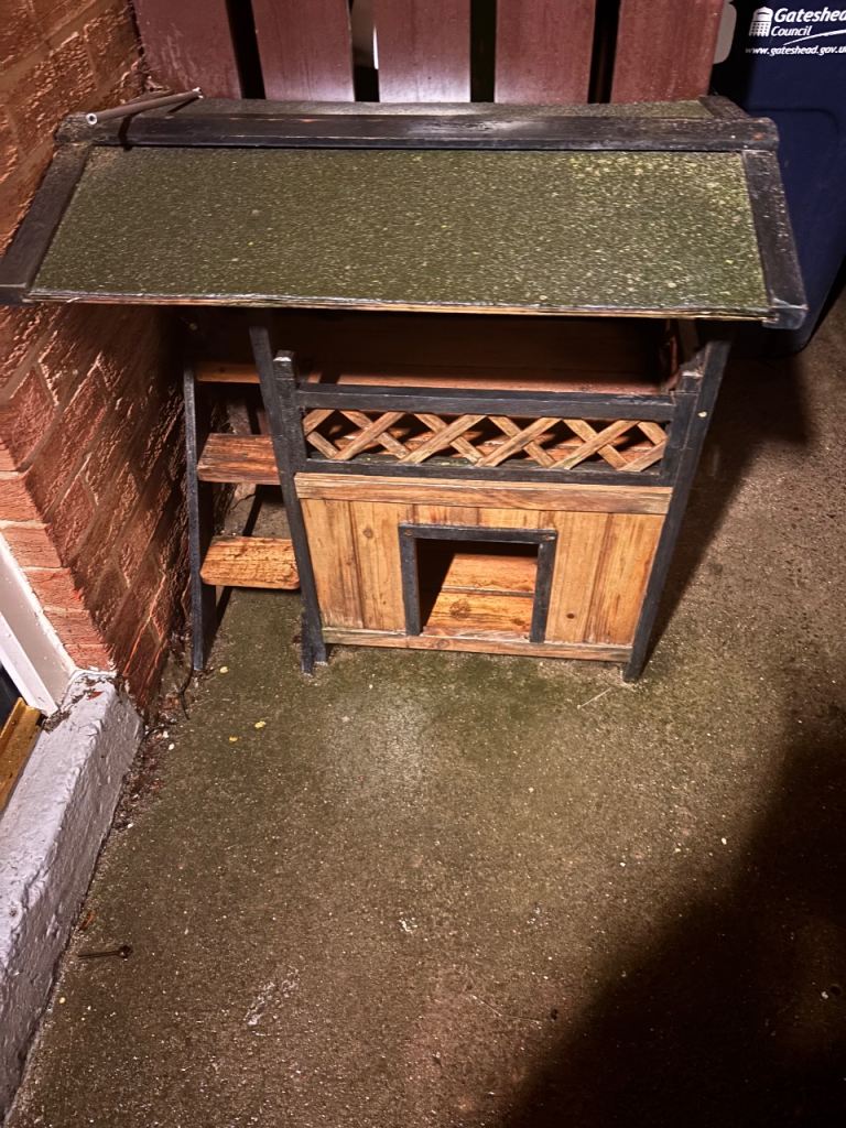 Cat house 
