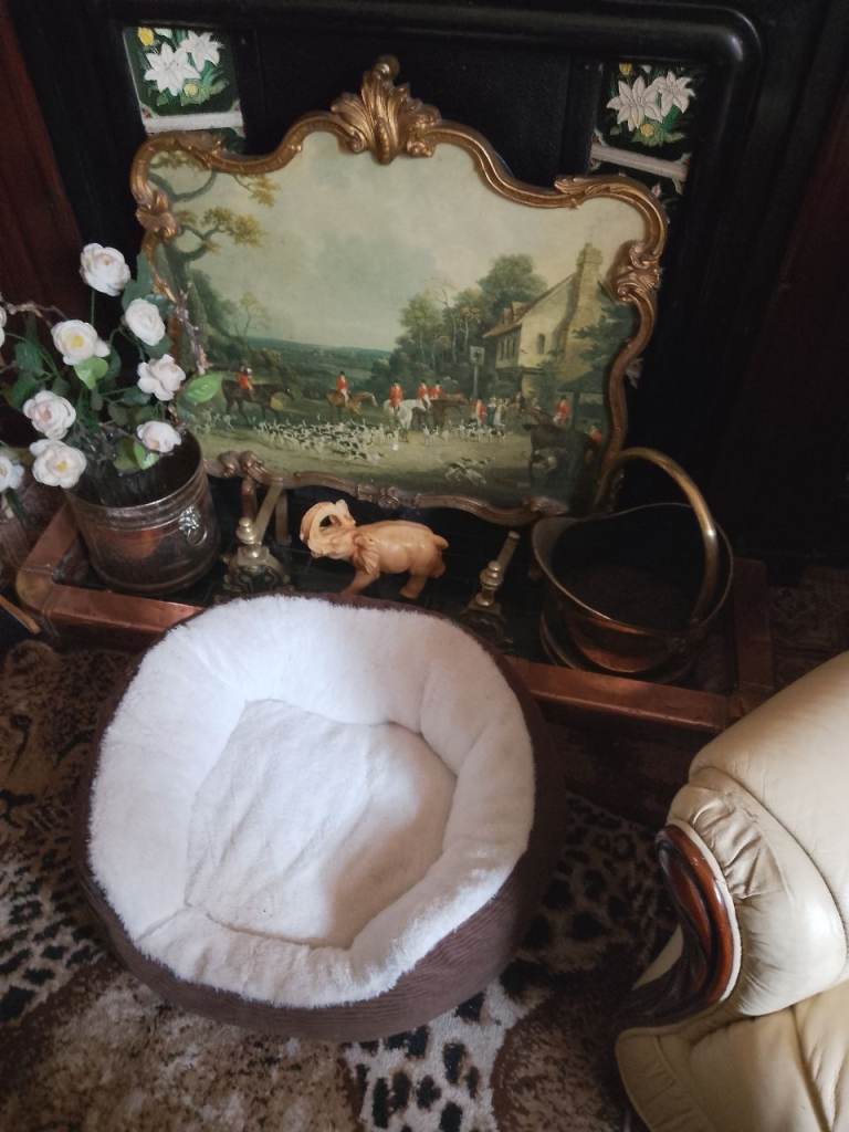 UNUSED BRAND NEW DOG BED 
