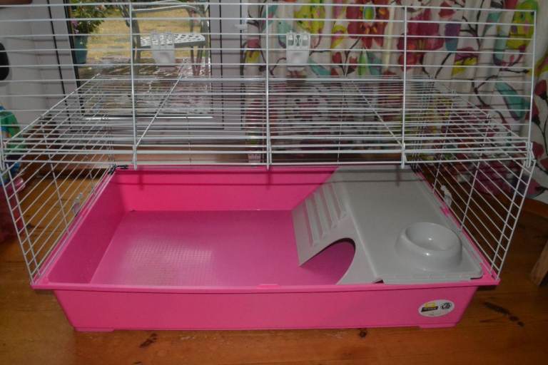 Indoor Guinea Pig (small pet) run     £5