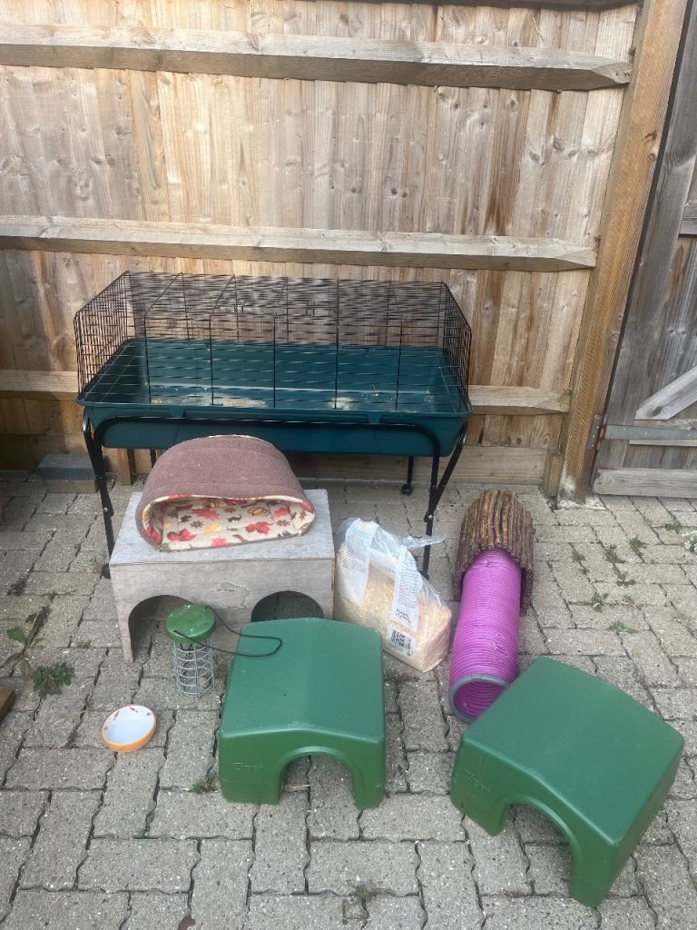 Indoor guinea pig cage 