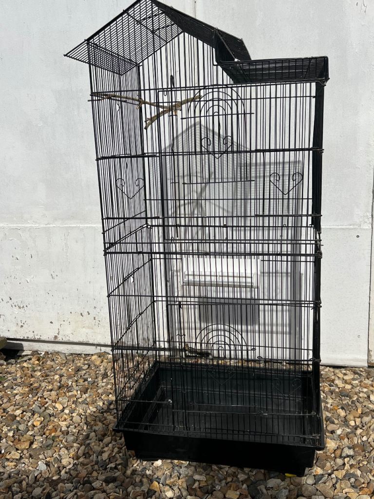 Bird cage 